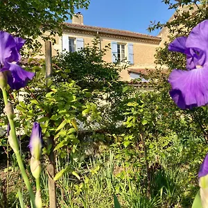  Bed & Breakfast Le Petit Cochon Frankrijk